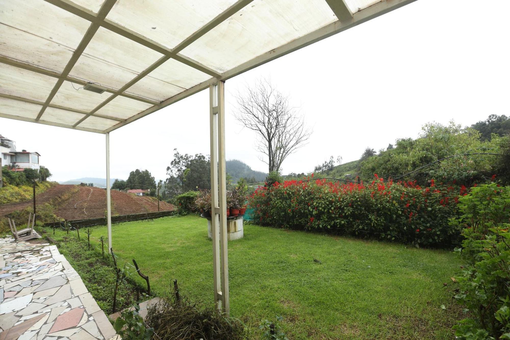 Tiger Hill Homestay *